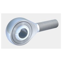 Rotula cabeza articulada Macho