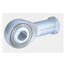 Rotula cabeza articulada Hembra