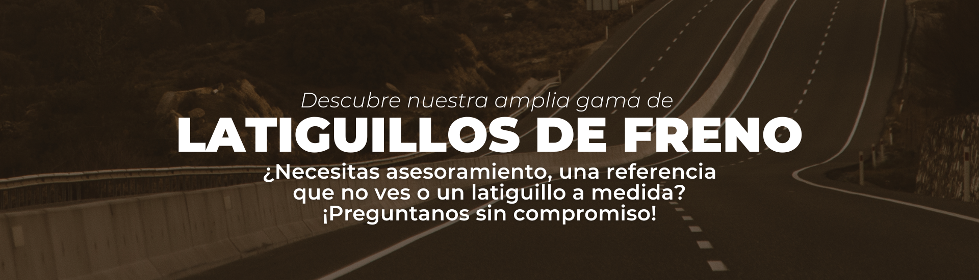 Latiguillos de freno